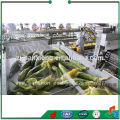 Maquinaria de procesamiento de alimentos Línea de producción de congelación de habas